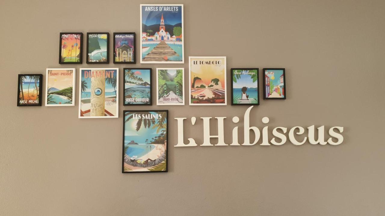 L'Hibiscus Piscine Et Plage سانت لوسي المظهر الخارجي الصورة